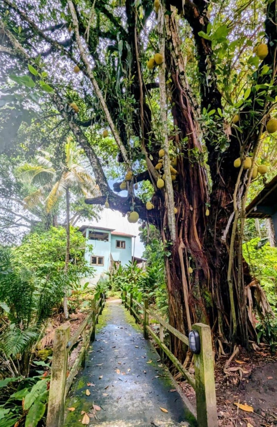 Alecrim Hostel E Pousada Velha Boipeba Kültér fotó